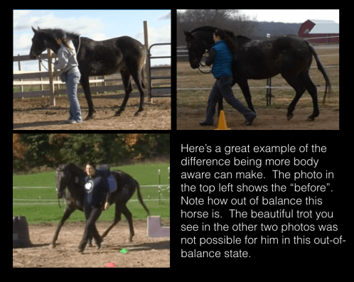 harrison-3-photos-before-after