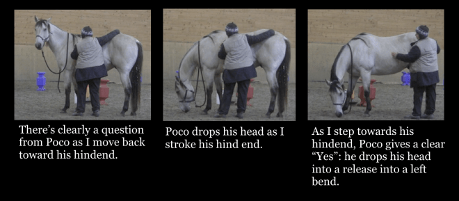 poco-head-lowering-3-photos