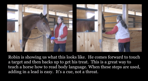 robin-touch-target-back-up-with-caption