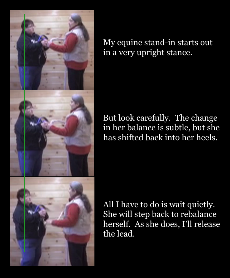 sue-3-photos-tai-chi-wall-2