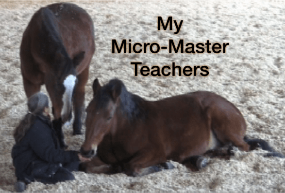 robin-pg-lying-down-micro-masters