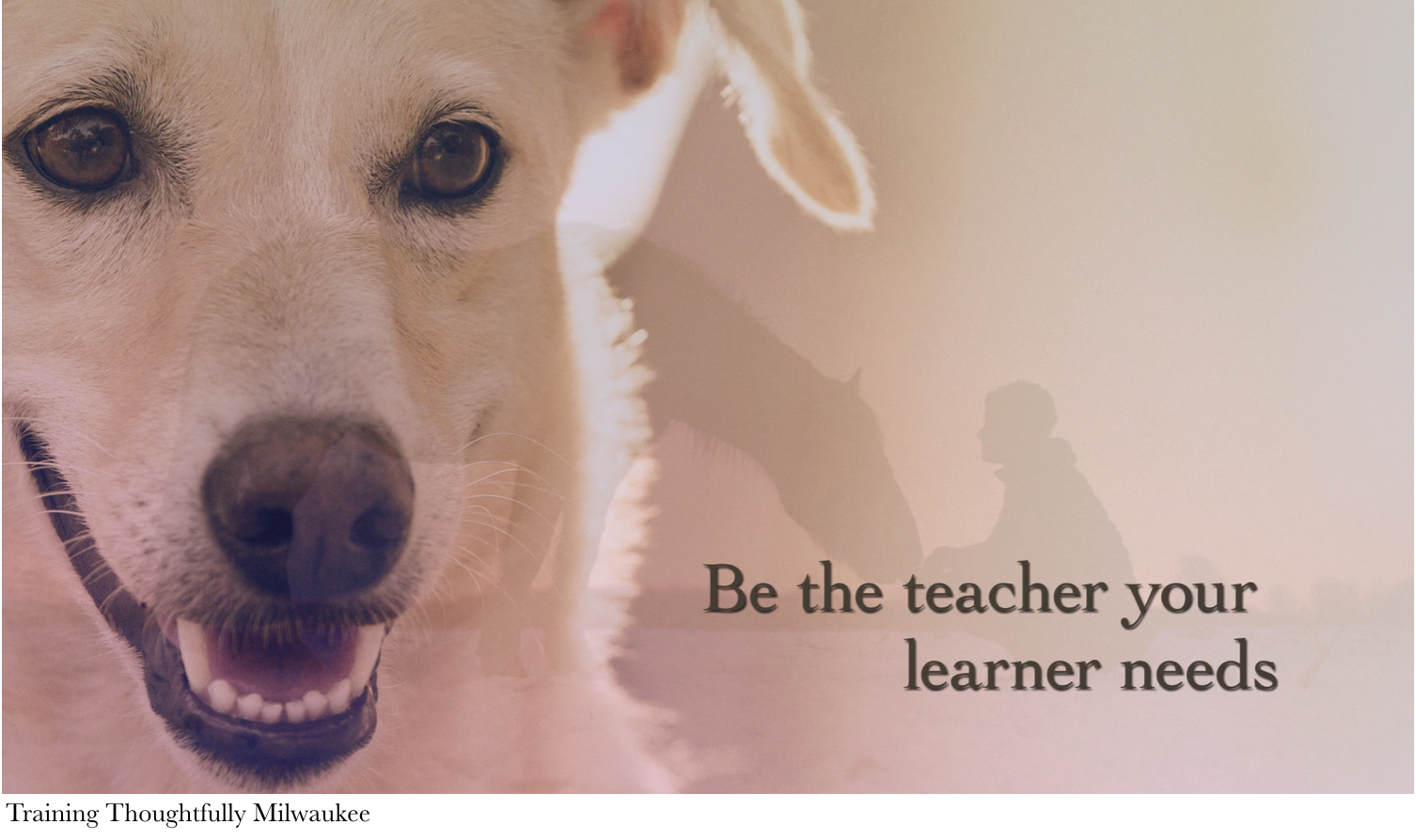 Be The Teacher Your Learner Needs 2 THM.png