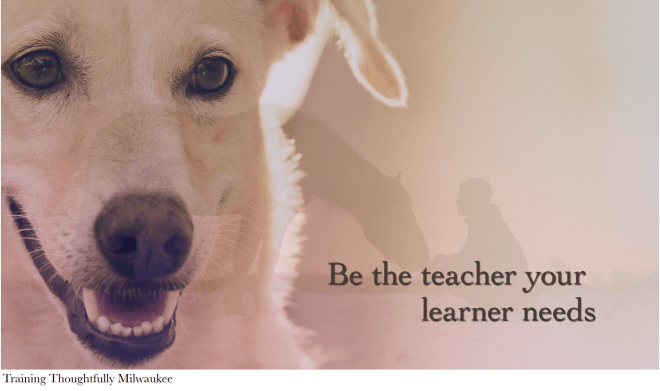 Be The Teacher Your Learner Needs 2 THM.png