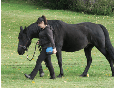 On the search for good grass
