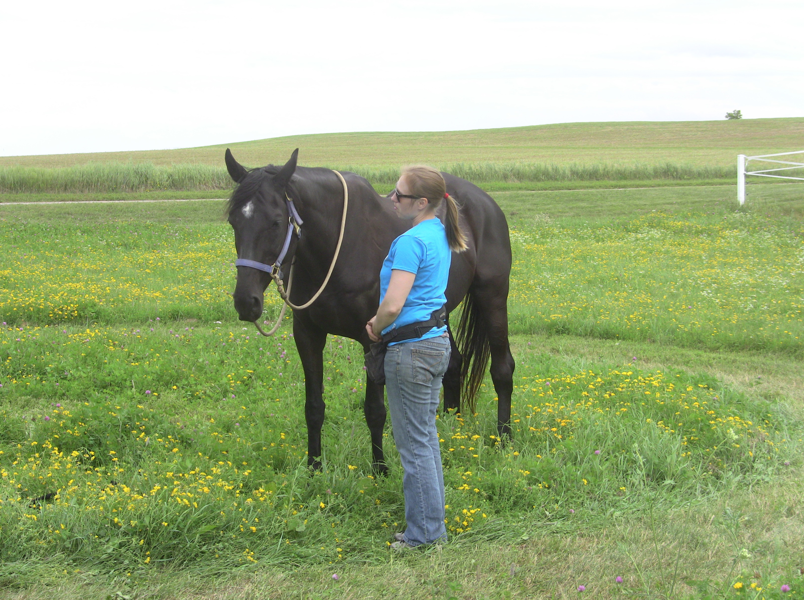 Screen Shot 2017-02-18 at 11.43.45 AM