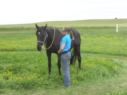 Screen Shot 2017-02-18 at 11.43.45 AM