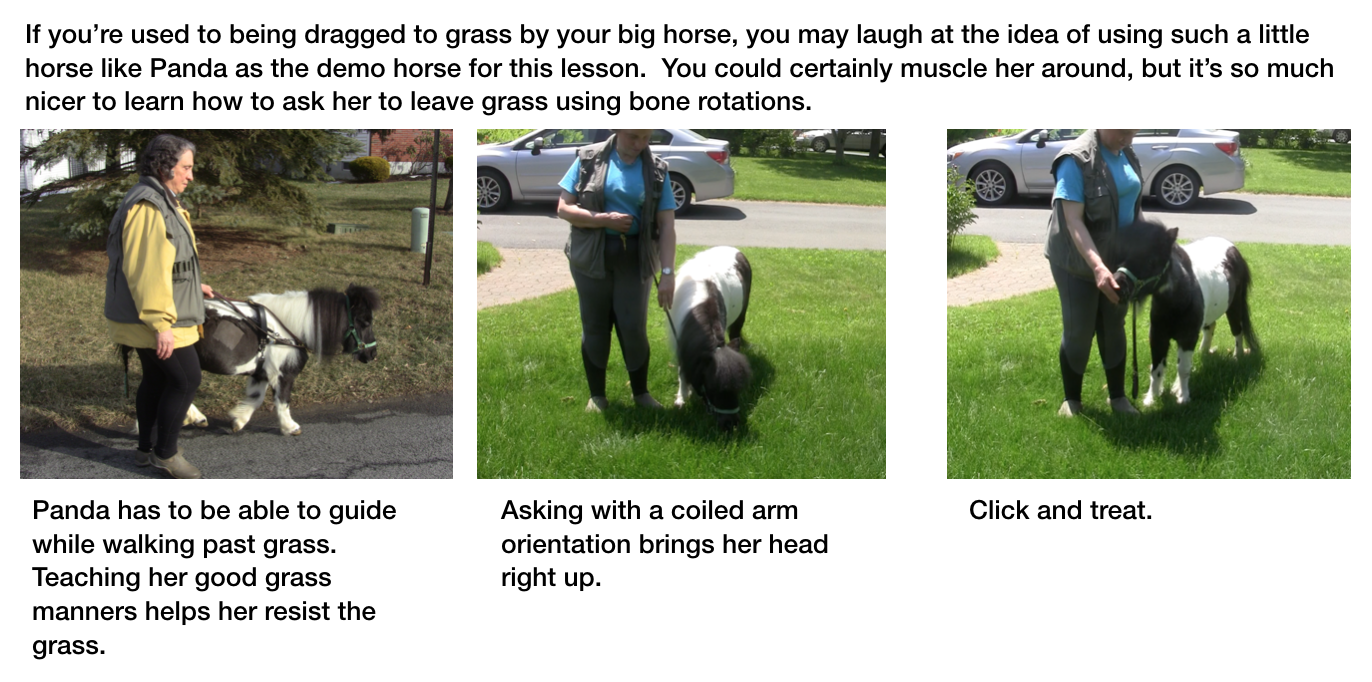 Screen Shot 2017-05-18 at 10.51.08 PM