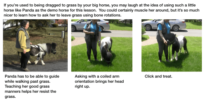 Screen Shot 2017-05-18 at 10.51.08 PM