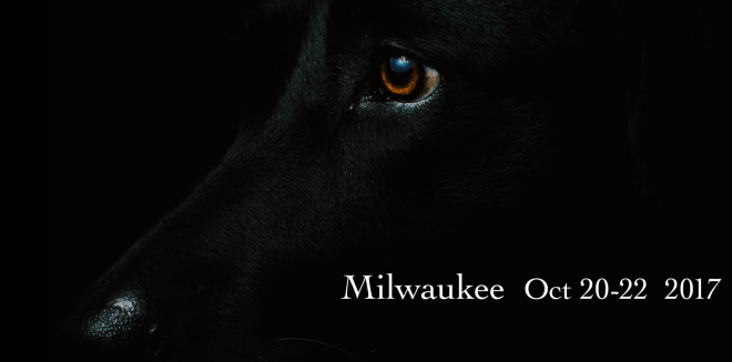 Training Thoughtfully Milwaukee Oct 20-22 2017.png