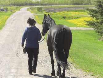 Whisper walking away