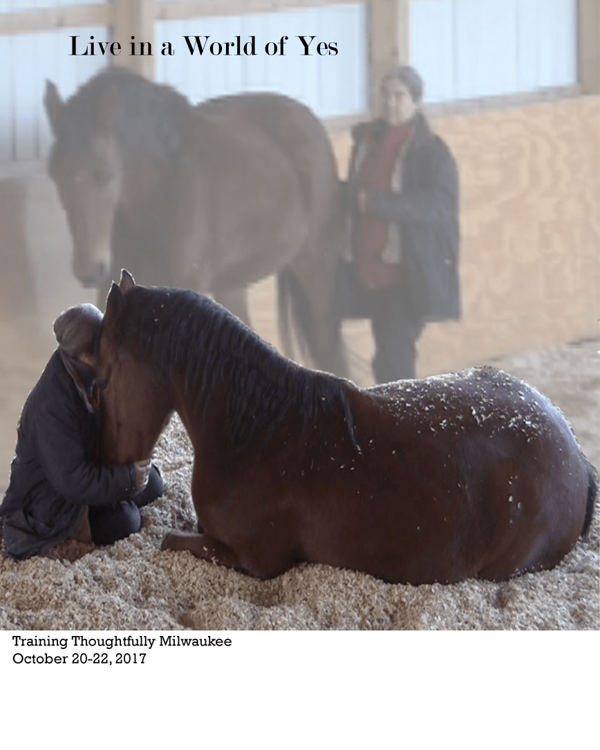 Live in a World of Yes.png