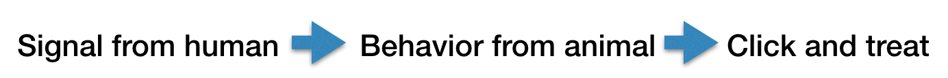 Signal from human leads to response from animal