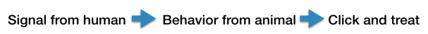 Signal from human leads to response from animal