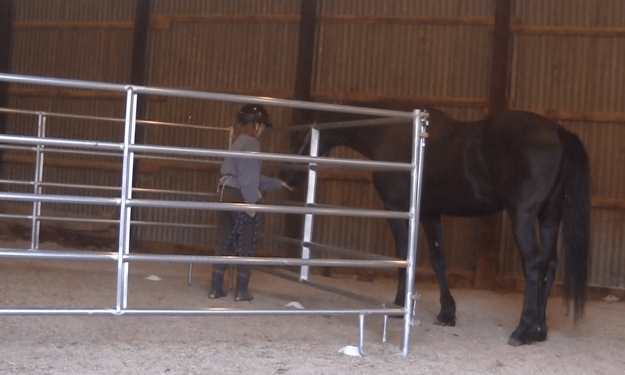 aries protective contact.png