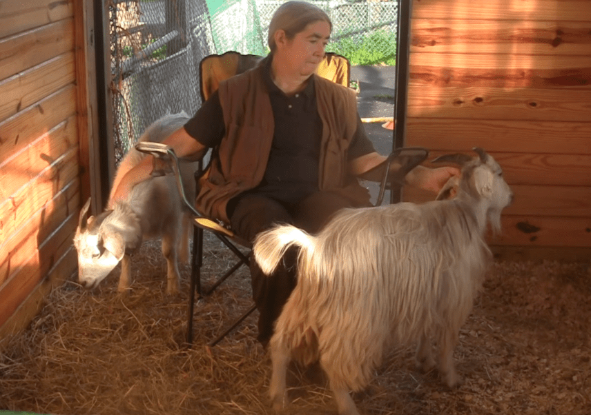 Goat Diaries Day 2 Cuddle Time.png