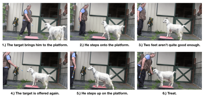 Goat Diaries: Day 3 Platforms Pt 2 - targeting to platform.png