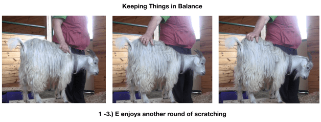 Goat Diaries Day 4 - E on 2 platforms - pt. 2 - panel 10.png