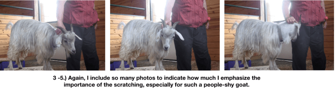 Goat Diaries Day 4 - E on 2 platforms - pt. 2 - panel 4.png