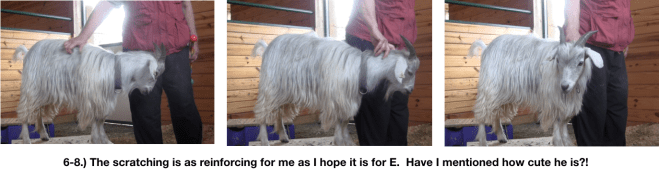 Goat Diaries Day 4 - E on 2 platforms - pt. 2 - panel 5.png