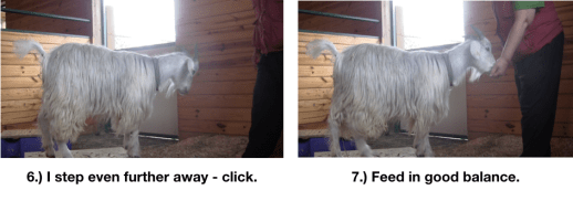 Goat Diaries Day 4 - E on 2 platforms - pt. 2 - panel 9.png
