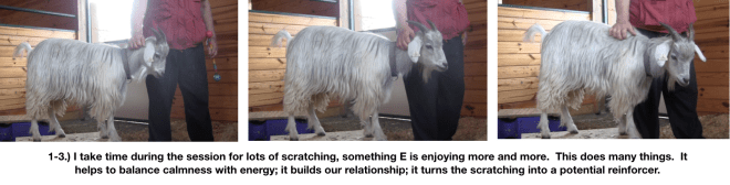 Goat Diaries Day 4 E's session 2 platforms in stall 1 - Panel 1.png