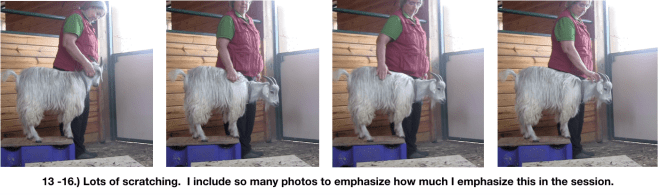 Goat Diaries Day 4 E's session 2 platforms in stall 1 - Panel 4.png