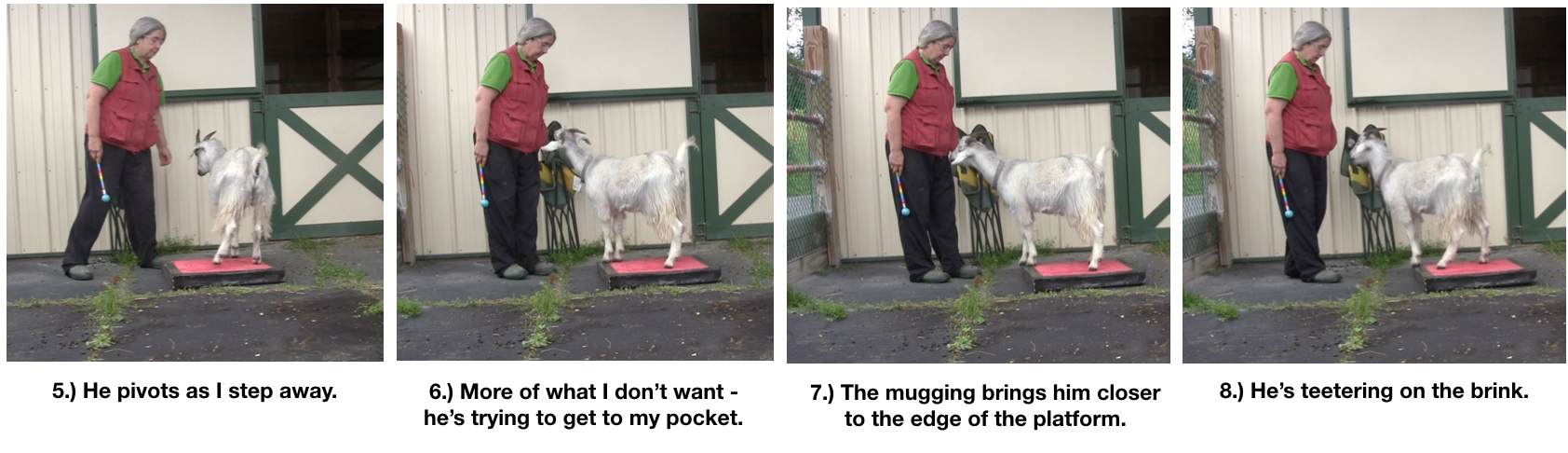 Goat Diaries Day 4 - P - Platforms Pt 1 - panels 5-8.png