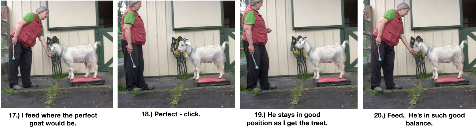 Goat Diaries Day 4 - P - Platforms Pt 1 - PPanels 17-20.png