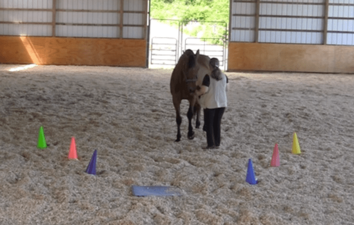 robin in runway .png