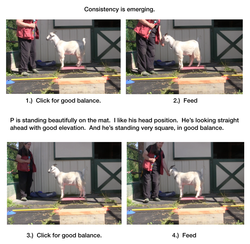 Diaries Day 6 Platform Progress with P -panel 1