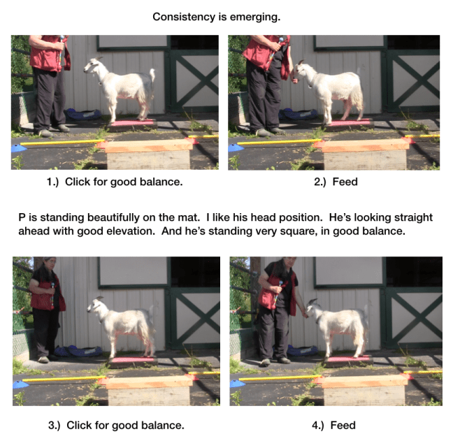 Diaries Day 6 Platform Progress with P -panel 1