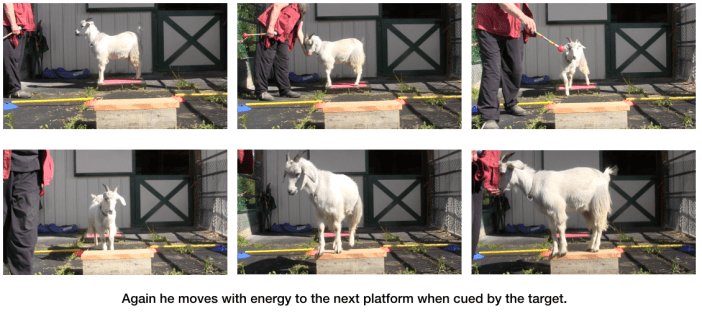 Diaries Day 6 Platform Progress with P -panel 4.png