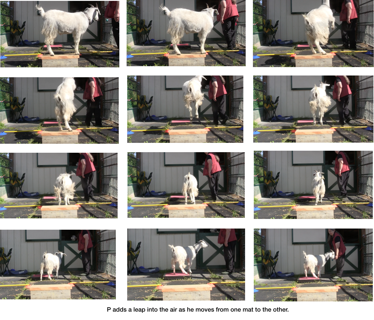 Diaries Day 6 Platform Progress with P -panel 6.png