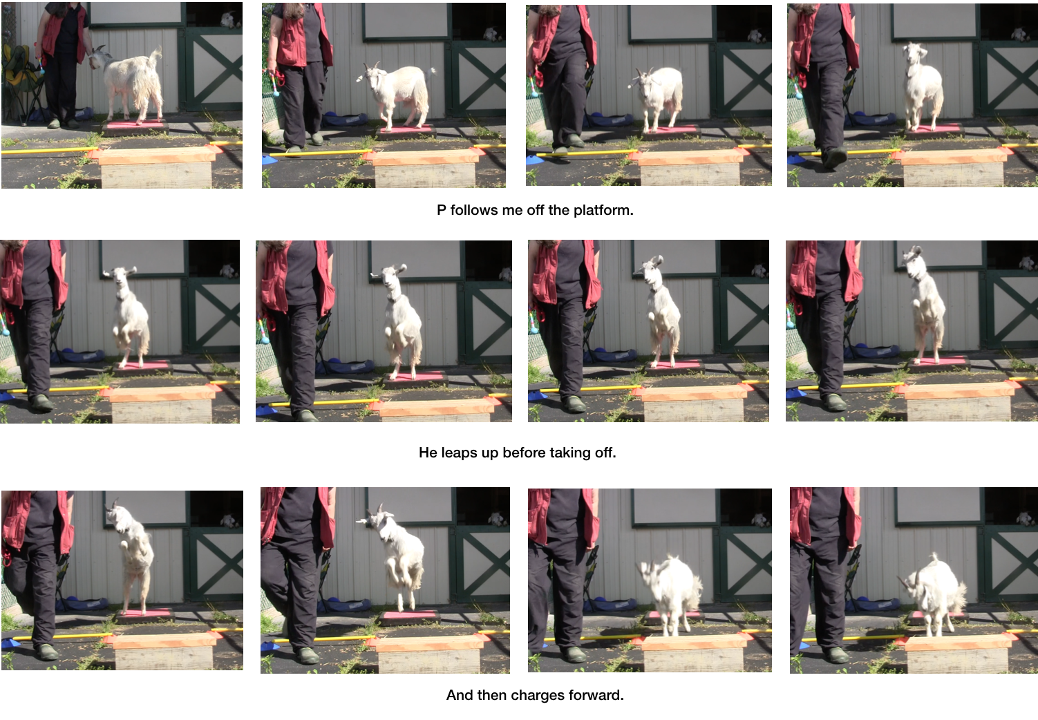 Diaries Day 6 Platform Progress with P -panel 7.png