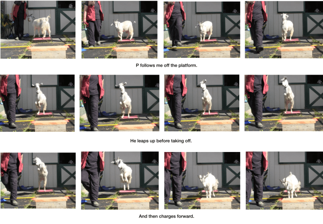 Diaries Day 6 Platform Progress with P -panel 7.png