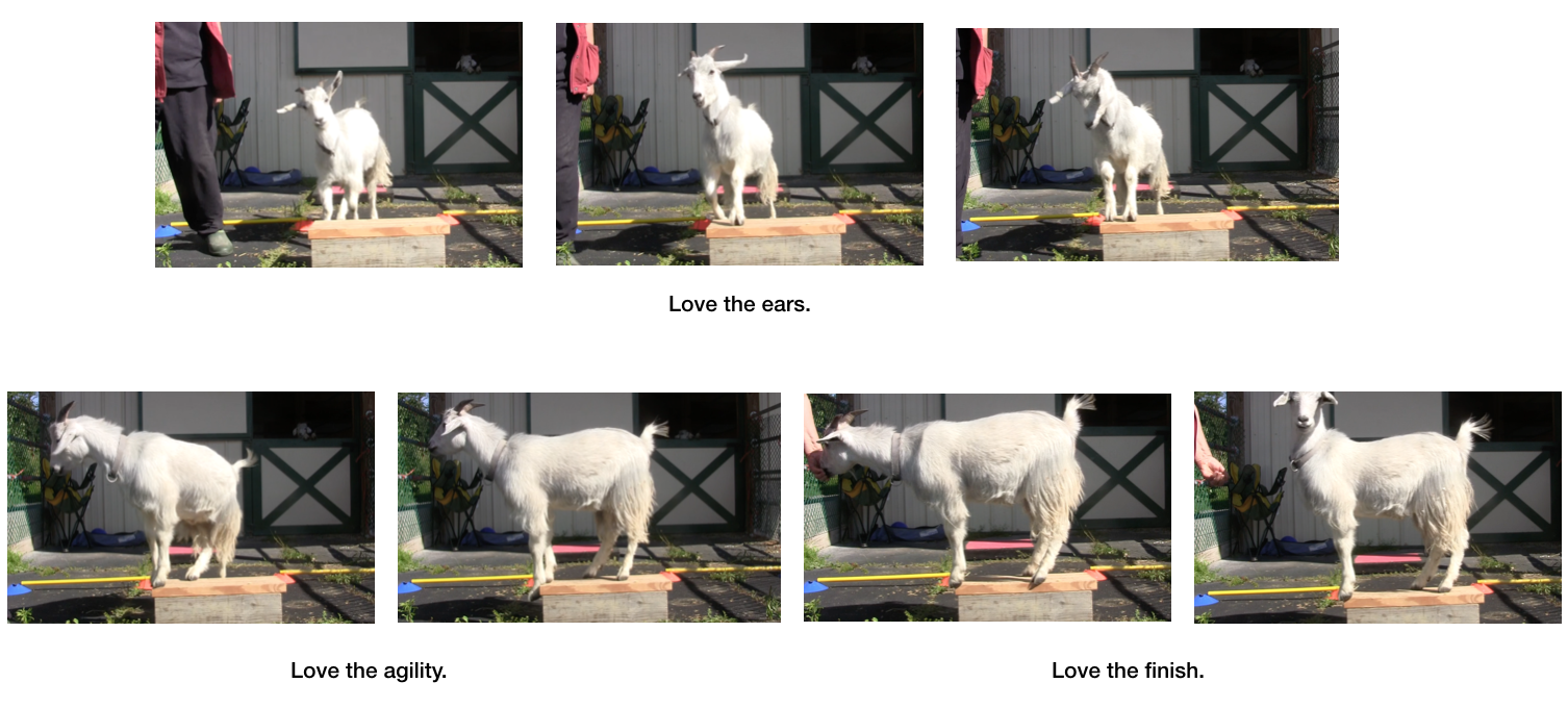 Diaries Day 6 Platform Progress with P -panel 8.png