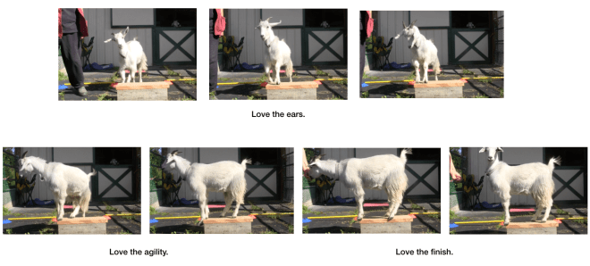 Diaries Day 6 Platform Progress with P -panel 8.png