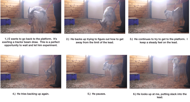 Diaries Day 6 Steps Towards Leading panel 2.png