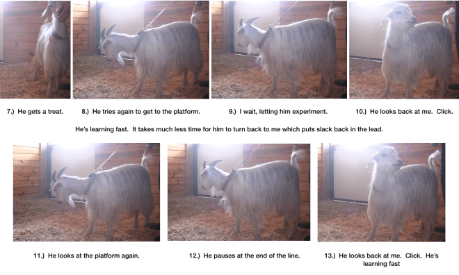 Diaries Day 6 Steps Towards Leading panel 3.png