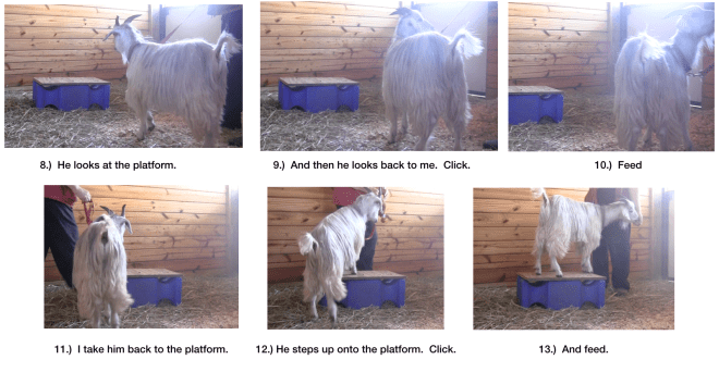 Diaries Day 6 Steps Towards Leading panel 5.png