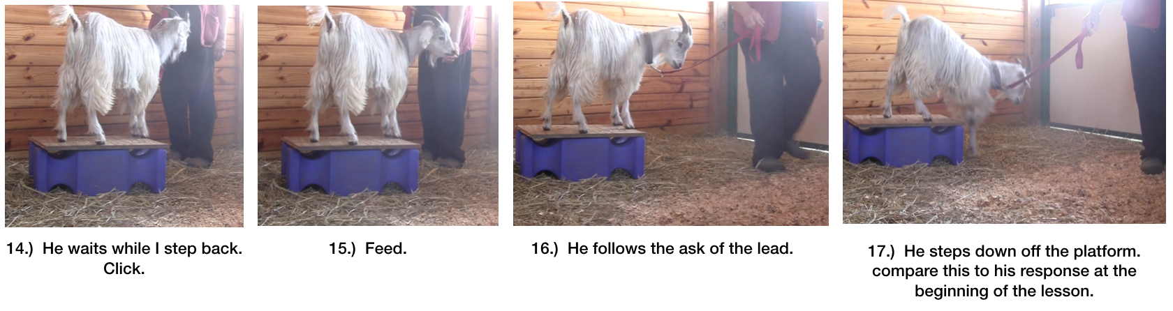 Diaries Day 6 Steps Towards Leading panel 6.png