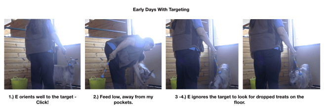 Early days with targeting panel 1.png