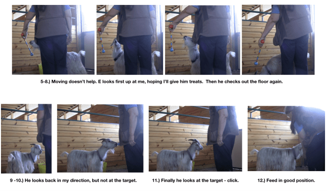 Early days with targeting panel 2.png