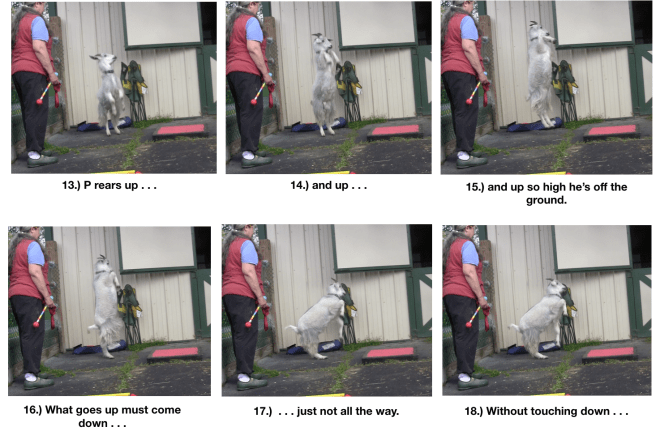 Goat diaries Day 5 P on platform - panel 3.png