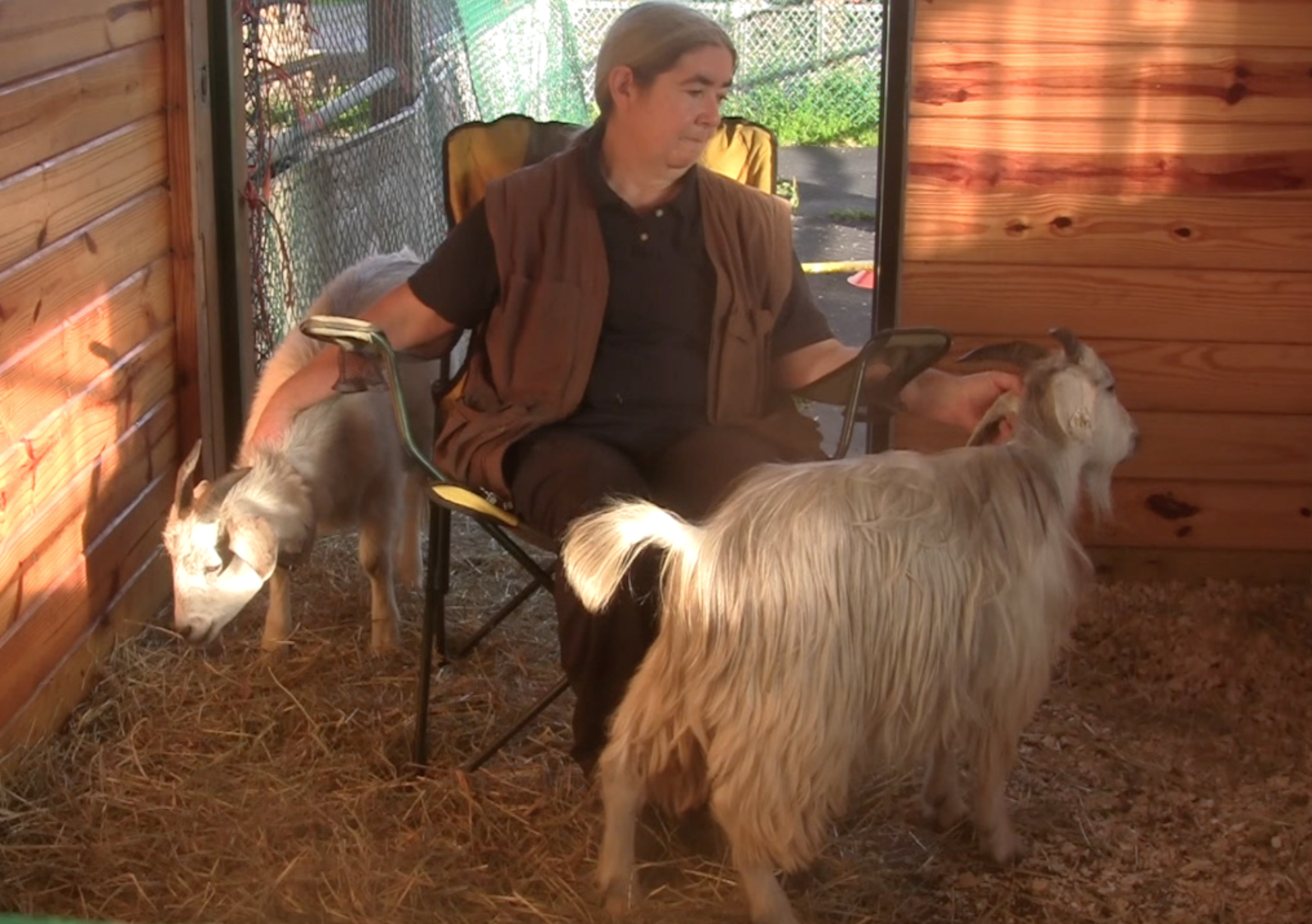 Goat Diaries Day 2 Cuddle Time