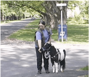 Panda at curb in neighborhood.png