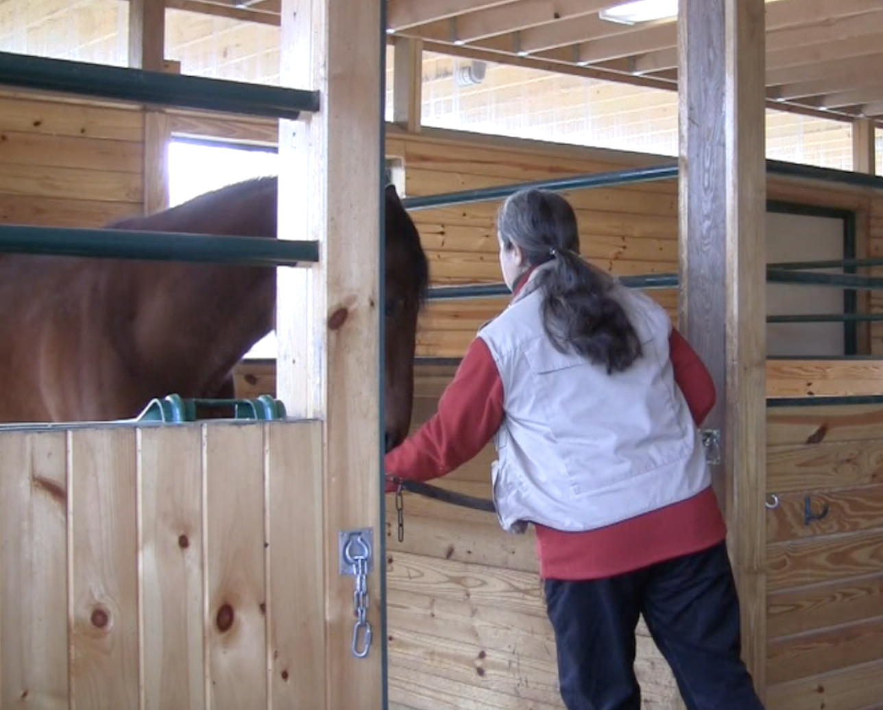 Robin backing for food delivery