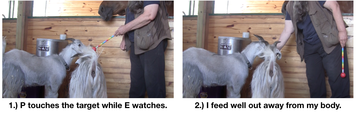 Day 1 targeting 3 pm panel 1