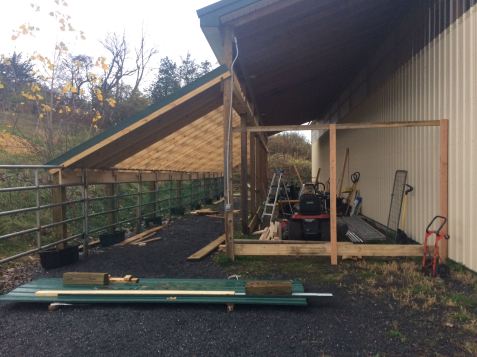 IMG_3934 goat palace under construction