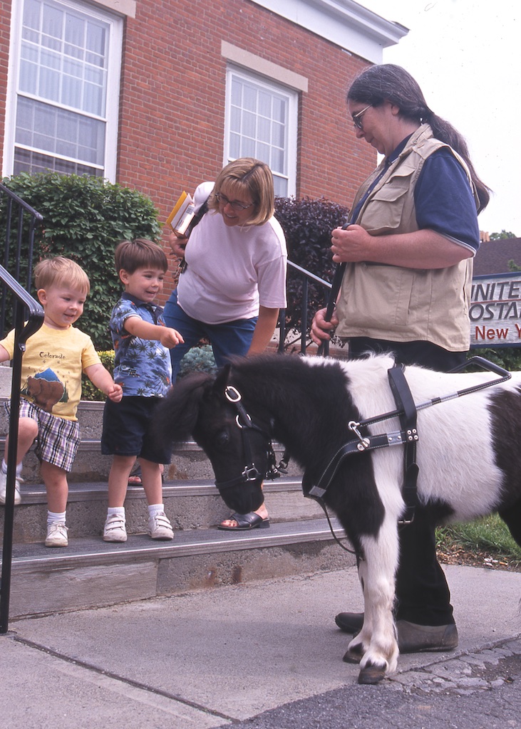 p5_TrainerAlexandraKurlandPandaWithLittleBoys AtPostOfficeDelmarNYNeilSoderstrom.jpg